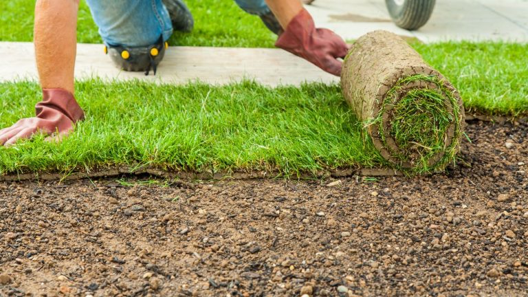 mejorar la calidad del suelo jardin