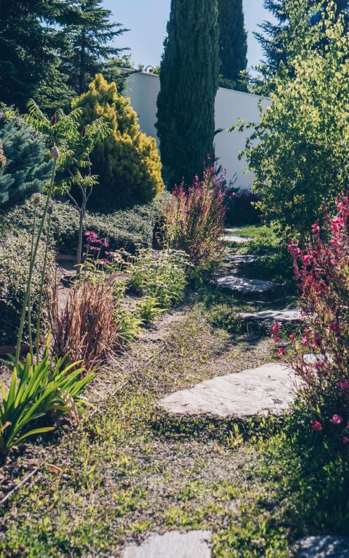 plantas
